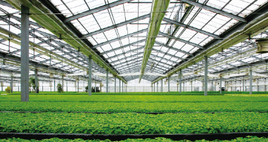 Agricultural Photovoltaic System